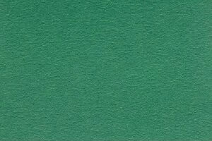 Images Dated 21st September 2016: Green paper texture, can be used as background