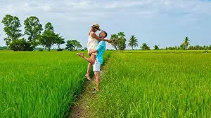 Rice Field Prints: Green rice paddy fields in Central Thailand Suphanburi region