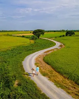 Winding Prints: Green rice paddy fields in Central Thailand Suphanburi region