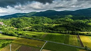 Summer Green Prints: Green Rolling Hills and Vineyards in Vipava Valley's Summer Splendor
