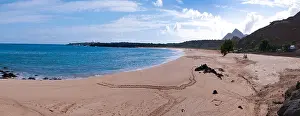 Ascension Prints: green sea turtle nesting area on beach Ascension Island South Atlantic Ocean