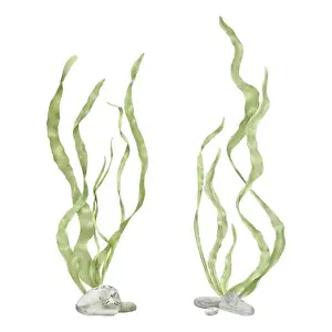 Seagrass Prints: Green seaweed on pebbles. Digital watercolor illustration