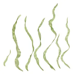 Ocean Beach Prints: Green seaweed. set with separate leaves and stems