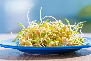 Seedling Prints: green sprouts growing in white tray