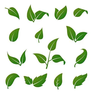 Graphical Prints: Green tree and plant leaves vector icons isolated on white background
