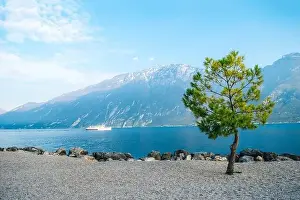 Garda Prints: Green tree on shore of valley of beautiful lake Garda among the mountains