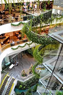 Shoppers Prints: Green vertical interior design of Emquartier shopping mall dining floors Bangkok Thailand