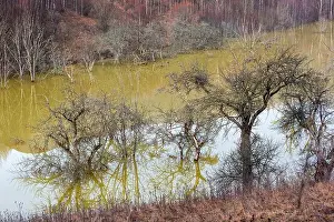 Dead Prints: Green waste waters from a copper mine polluting the environment