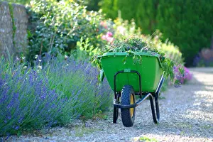 Wheelbarrow Prints: Green wheelbarrow in an English country garden