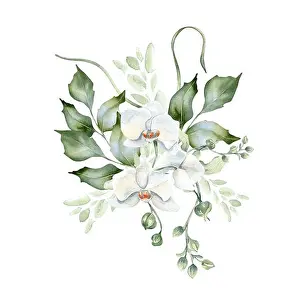 Rippled Prints: Greenery bouquet of holly branches and orchid bloom delicate watercolor illustration isolated