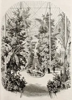 Leafy Prints: Greenhouse old illustration, Jardin-des-Plantes, Paris