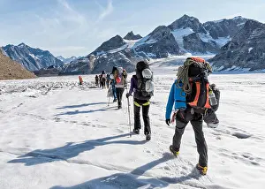 Mid Adults Prints: Greenland, Sermersooq, Kulusuk, Schweizerland Alps, group of people walking in snow