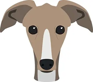 Greyhound dog isolated on white background vector illustration