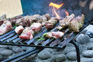 Smoky Prints: Grilled pork ribs sizzling on a barbecue in a garden