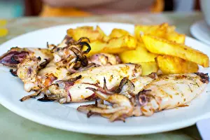 Calamari Prints: Grilled squid with french fries on a plate. Seafood meal