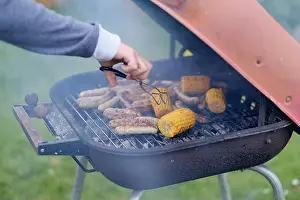 Fixture Prints: Grilling sausages in a roasting pan on a picnic