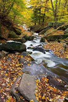 Brook Prints: Grindstone Creek in fall, Niagara Escarpment, Bruce Trail, Hamilton, Ontario, Canada