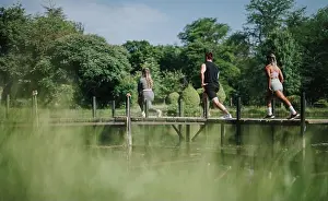 Jogging Prints: Group of diverse individuals jogging across a wooden bridge in nature