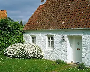 Whitewashed Prints: Guernsey. Architecture. Traditional whitewashed granite stone cottage