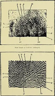 Guide to finger-print identification (electronic resource) (1905) (14598069837)