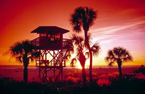Oranges Prints: Gulf Coast, Sarasota, Sunset