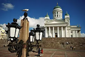 Lamps Prints: Gull and Evangelical Lutheran cathedral in Helsinki, Finland