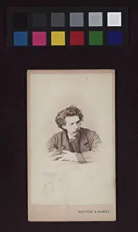 Photo Studio Prints: Gustav Gaul (1836-1888), Painter. Miethke & Wawra, Photo Studio