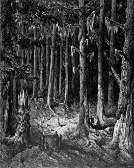 Gustave Dore Prints: Gustave Doré; The Burial Ground in the Forest from Chactas and Atala