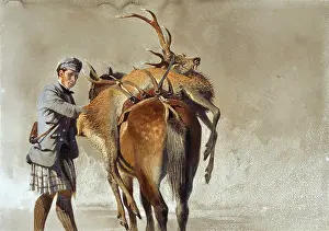 Painters Prints: Haag Carl - John Mackenzie with a Dead Stag on a Pony - German School - 19th and Early 20th Century