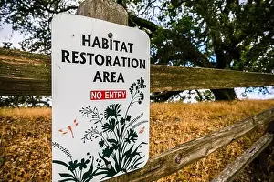 Regional Park Prints: Habitat restoration area sign in Shiloh Ranch Regional Park