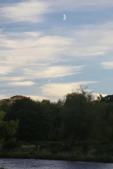 Nightfall Prints: Half Moon in an Evening Sky of Cirrus Clouds over Seaton Park in Autumn