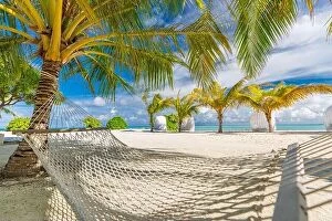 Images Dated 6th May 2018: Hammock between two coconut trees on a tropical island with beautiful beach