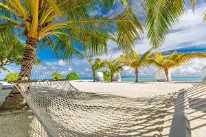 Hammock Prints: Hammock between two coconut trees on a tropical island with beautiful beach