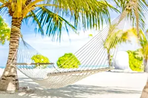 Hammock between two coconut trees on a tropical island with beautiful beach. Blurred tropical landscape