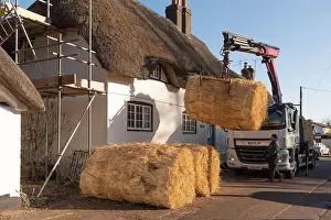 Occupations Prints: Hampshire, England, UK. 2023. Bales of thatching straw being offloaded from lorry using a grabber tool