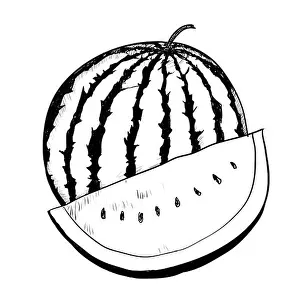 Drawing Hand Prints: Hand drawing of Watermelon on white background
