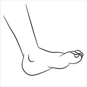 Toes Prints: Hand drawn sketch of Foot isolated