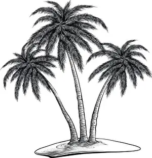 Hand drawn sketch of palm trees in black isolated on white background