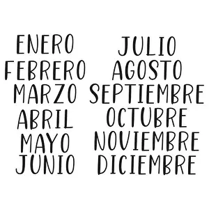 Hand Lettered Months of the Year in Spanish. Lettering for Calendar, Organizer, Planner