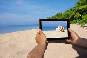 Tanned Prints: hands holding tablet and taking photo of conch