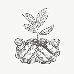 Compost Prints: Hands and plant sketch vector illustration. Environment protection, business concept