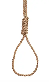 Tied Prints: another side of hangman's knot tied on thick jute rope isolated on white background