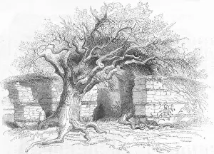 HANTS: Silchester The North wall, antique print 1845