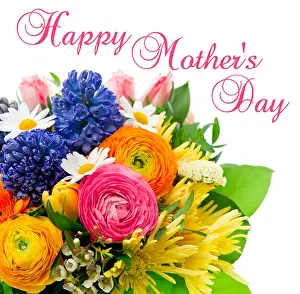 Tulip Prints: Happy Mothers Day. card concept