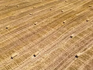 Arable Prints: Harvested field with straw bales