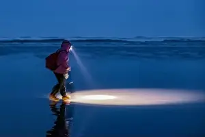 Digging Prints: Harvesting Pacific Razor Clams on Pacific Ocean beach at night at Ocean City