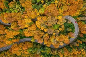 Tight Prints: Having a trip in the autumn season