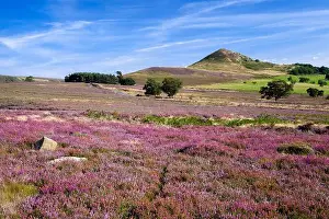 Heather Prints: Hawnby Hill from Hawnby Moor North York Moors national park North Yorkshire England, UK