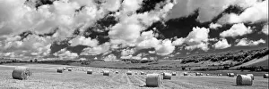 Afternoon Prints: Hay bales on the Long Furlong