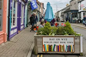 Bunting Prints: Hay-on-WyeDogs